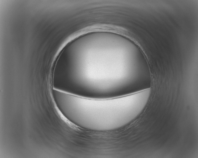 X0000080701531200612150823