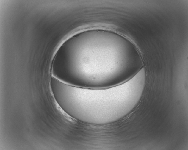 X0000080701532200612150823