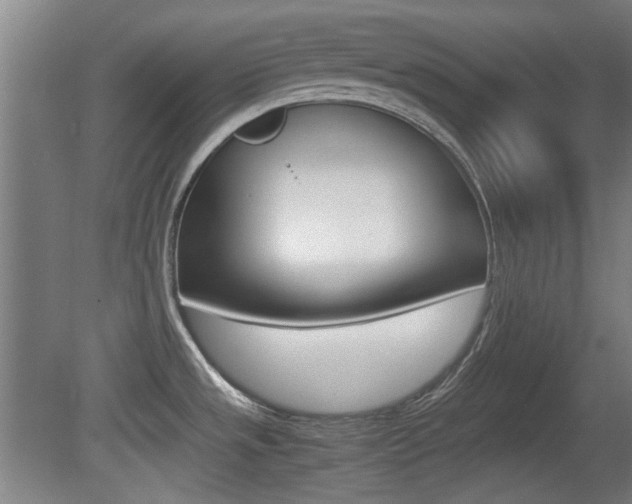 X0000080701533200612150823
