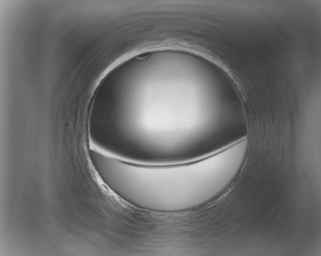 X0000080701534200612150823