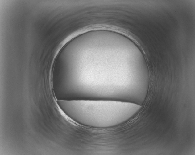 X0000080701535200612150823