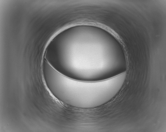 X0000080701536200612150823