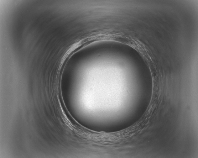 X0000080700003200612151327