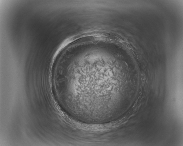 X0000080700006200612151326
