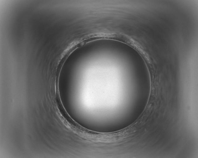 X0000080700011200612151326