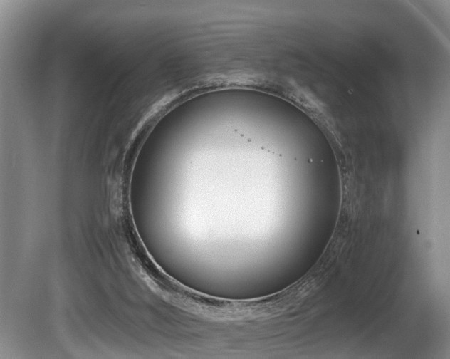 X0000080700012200612151326