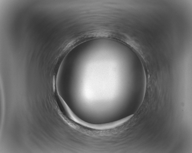 X0000080700013200612151326