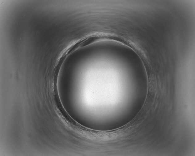 X0000080700015200612151326