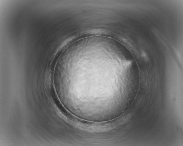 X0000080700016200612151326