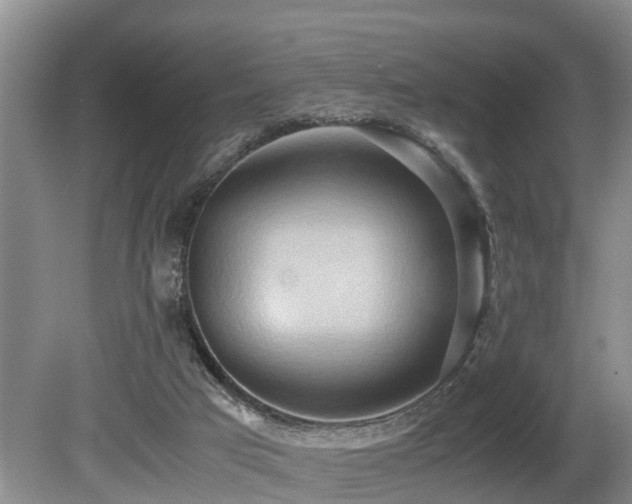 X0000080700017200612151326