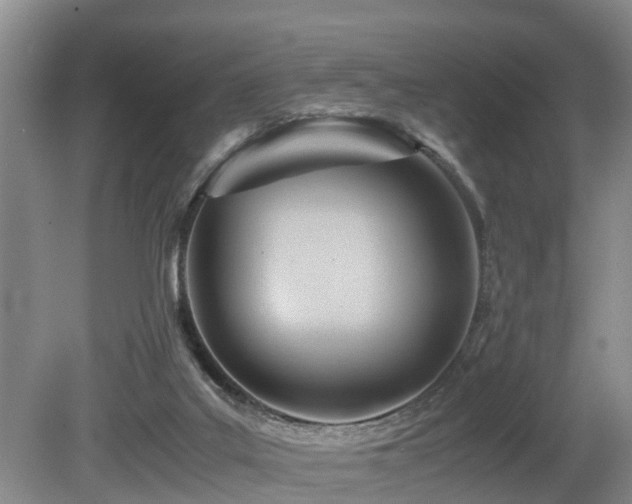 X0000080700019200612151326