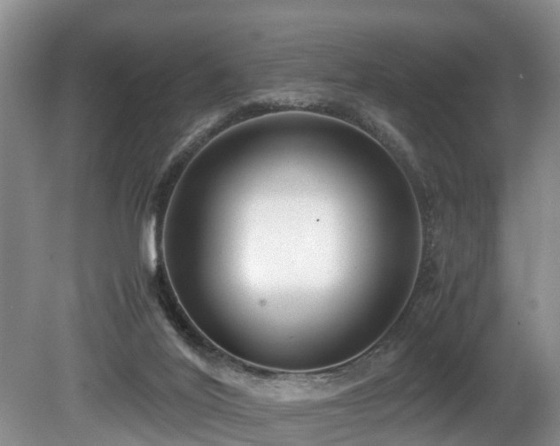 X0000080700020200612151326