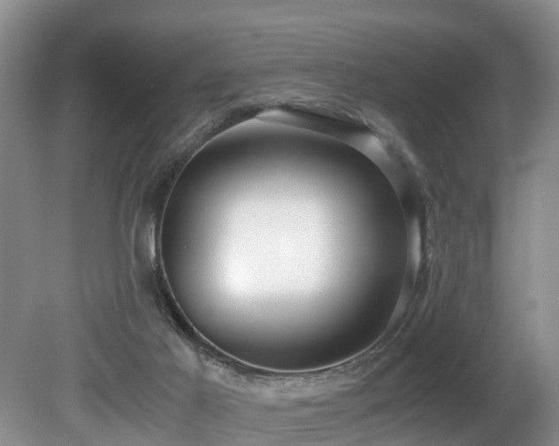 X0000080700021200612151326