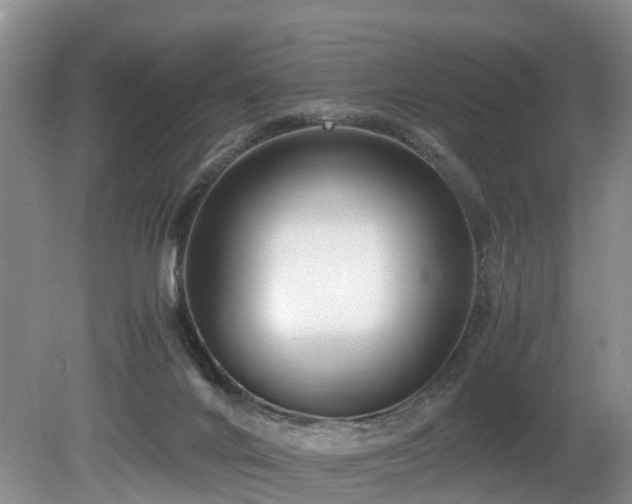 X0000080700024200612151326