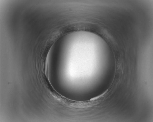 X0000080700025200612151326