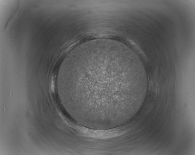 X0000080700026200612151326