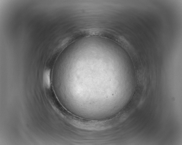 X0000080700028200612151326