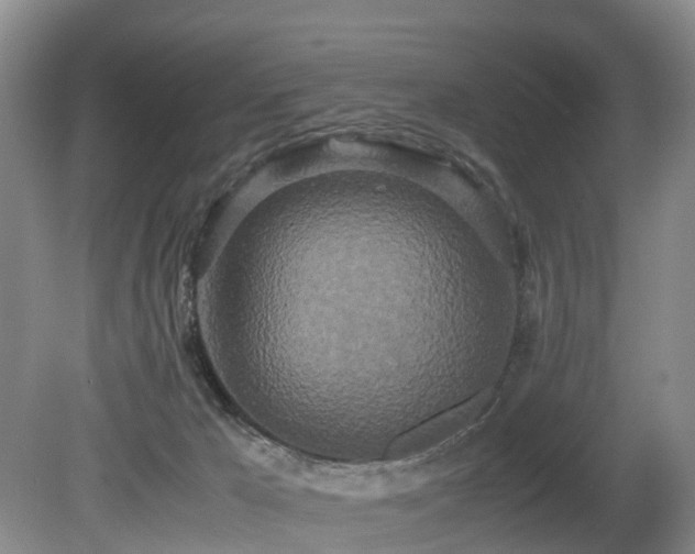 X0000080700029200612151326