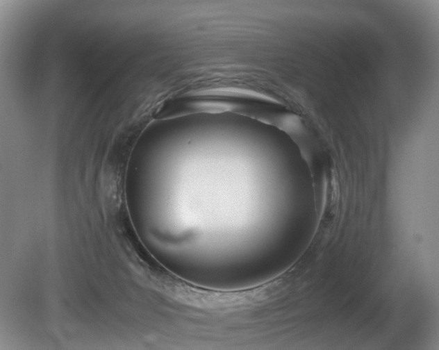 X0000080700031200612151326