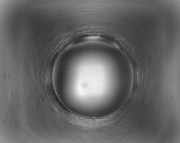 X0000080700035200612151326