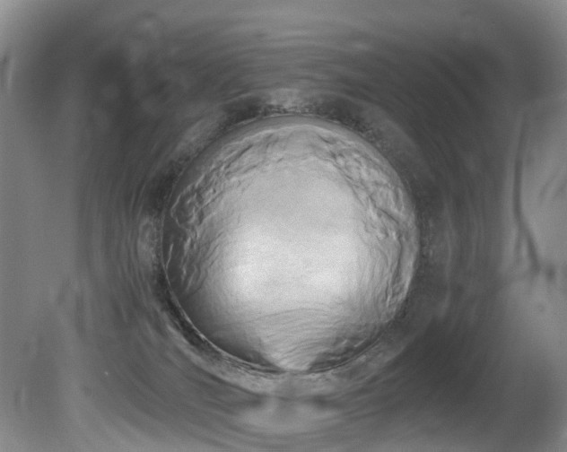 X0000080700036200612151326