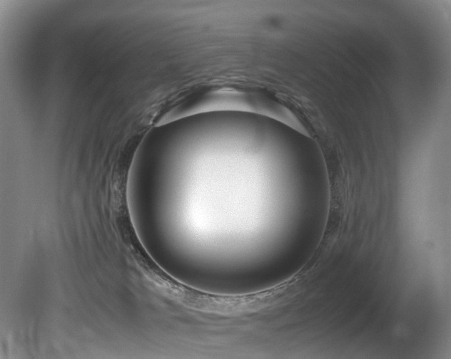X0000080700037200612151326