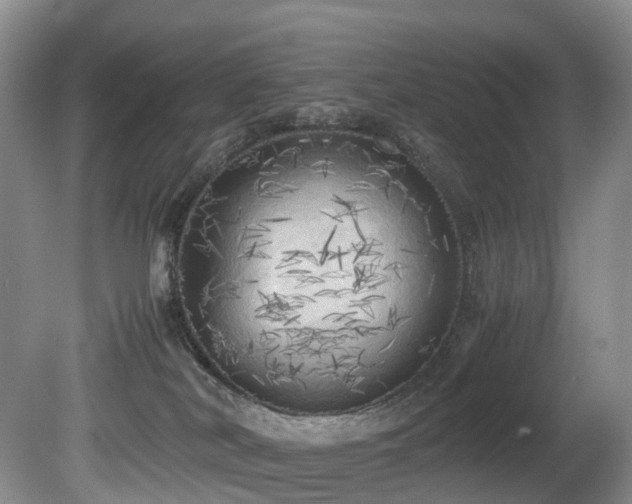 X0000080700038200612151326