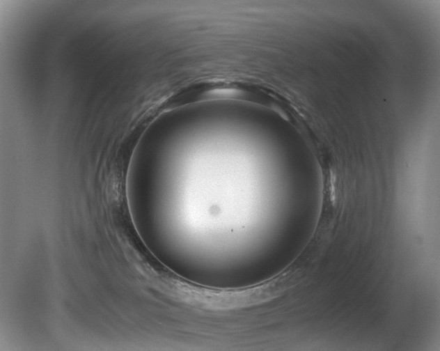 X0000080700039200612151326