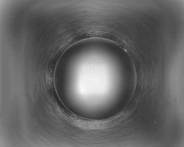 X0000080700040200612151326