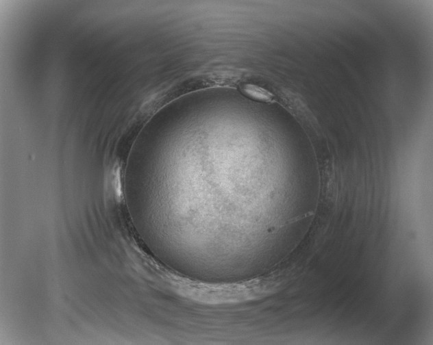 X0000080700042200612151326