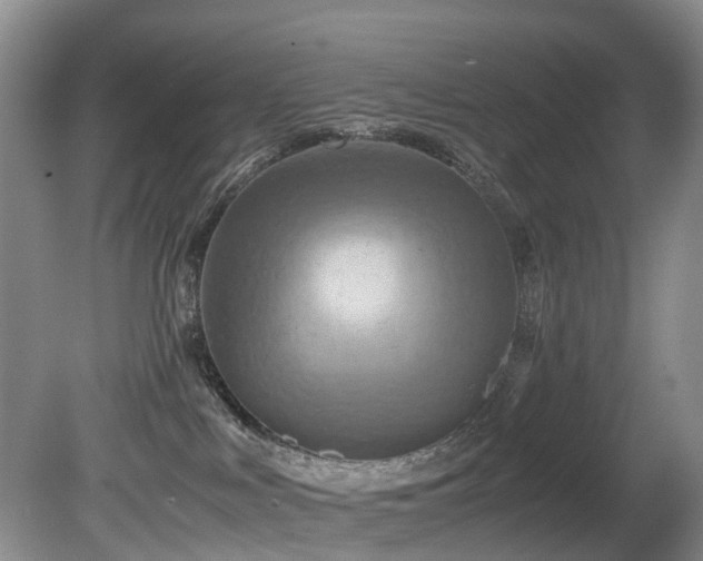X0000080700043200612151326