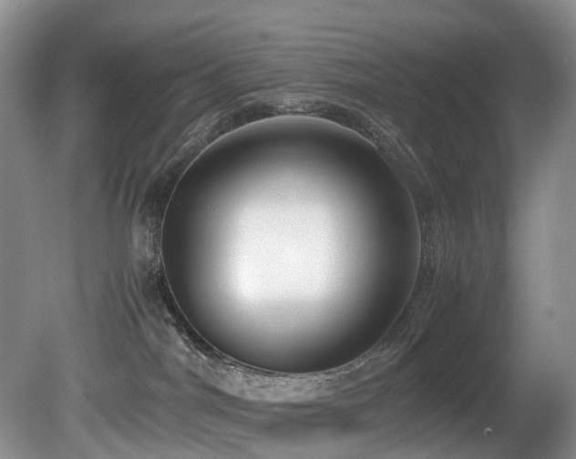 X0000080700044200612151326