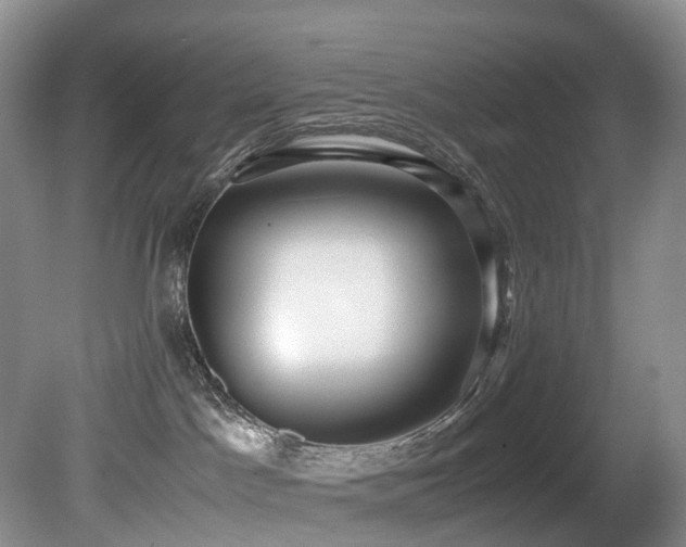 X0000080700045200612151326