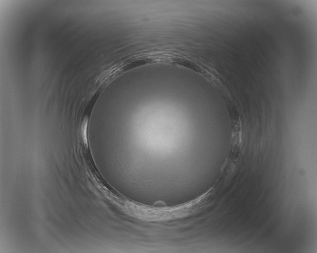 X0000080700047200612151326