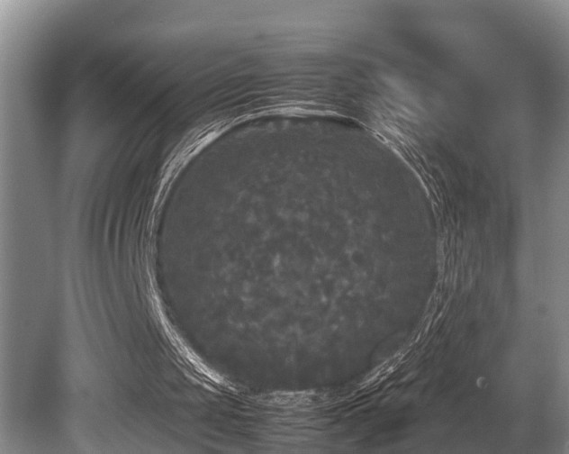 X0000080700049200612151325