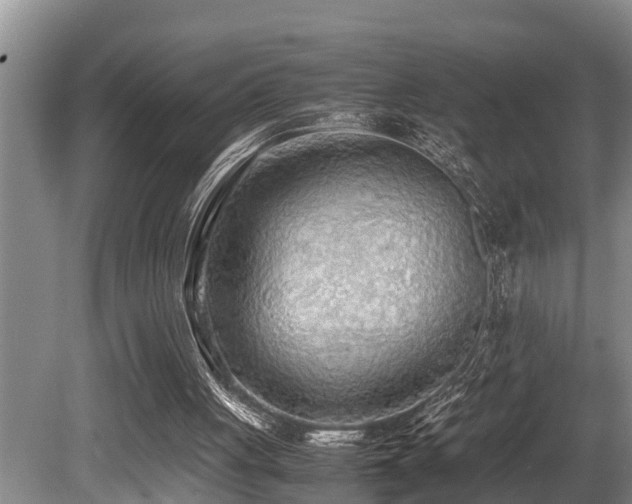 X0000080700051200612151325