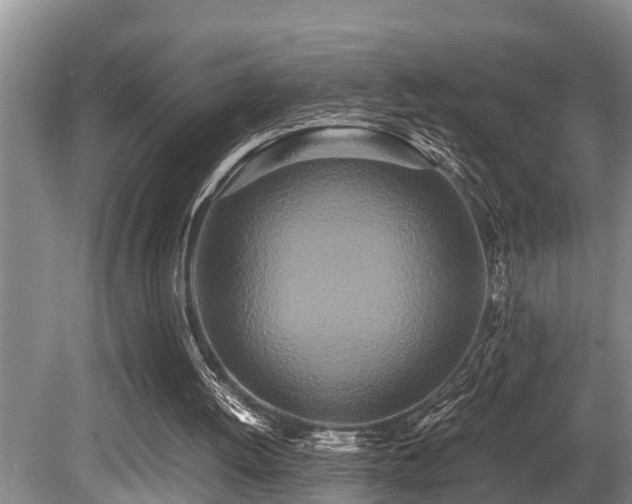 X0000080700052200612151325