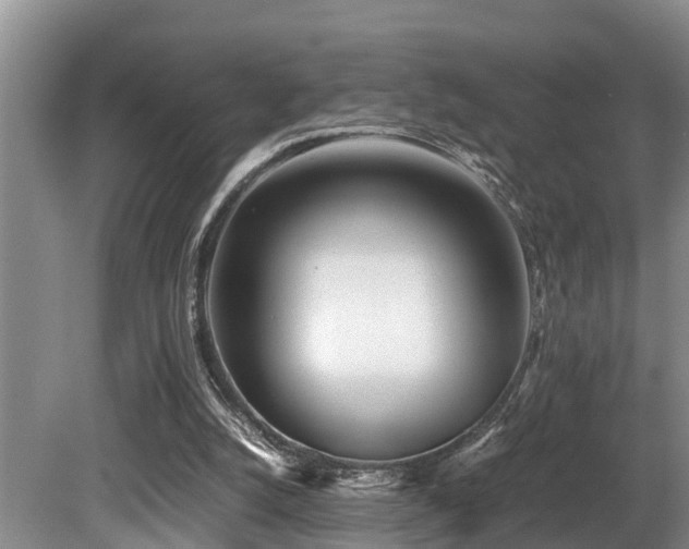 X0000080700056200612151325