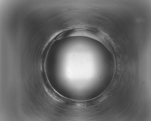 X0000080700060200612151325