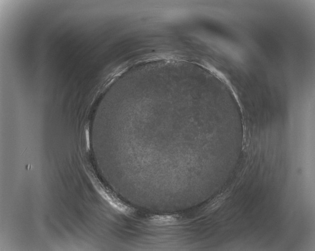 X0000080700061200612151325
