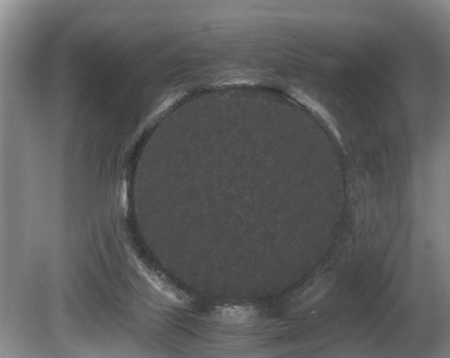 X0000080700067200612151325