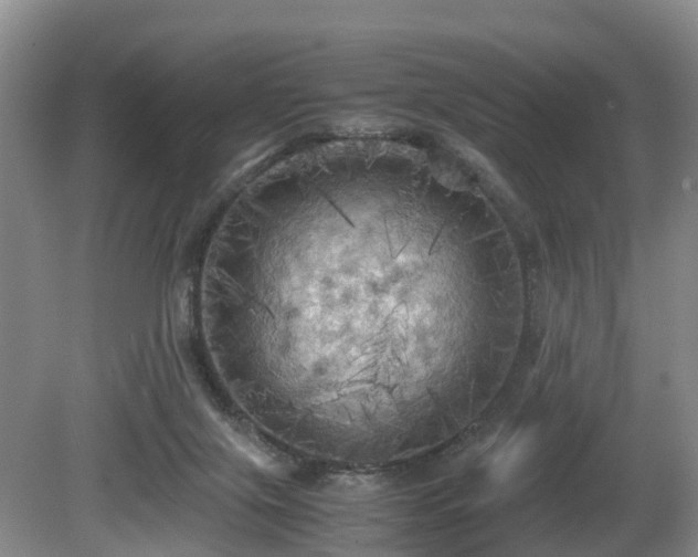 X0000080700071200612151325