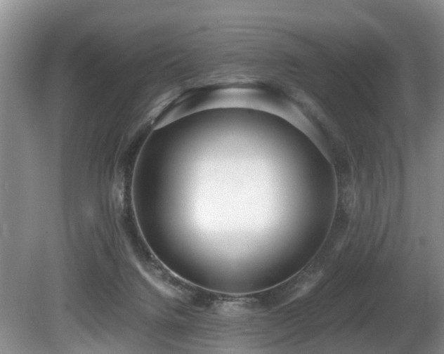 X0000080700072200612151325