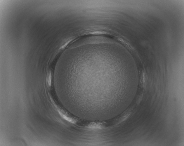 X0000080700076200612151325