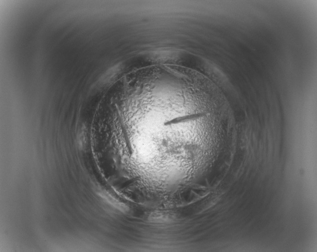 X0000080700077200612151325