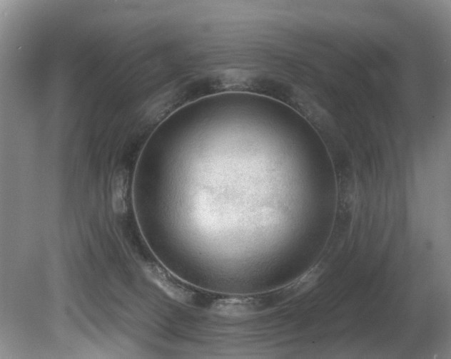 X0000080700082200612151326