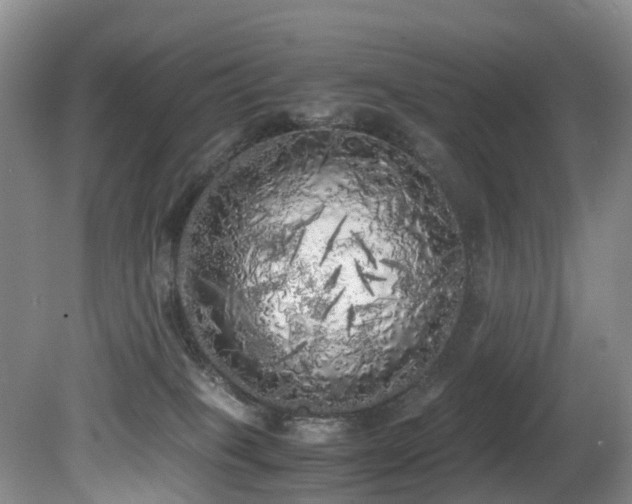 X0000080700085200612151326
