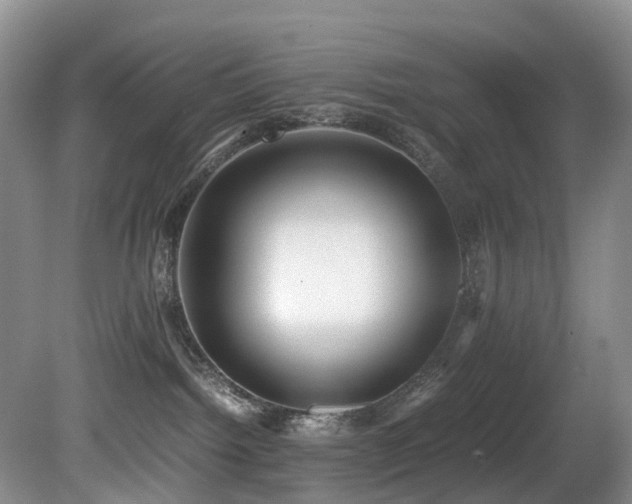 X0000080700092200612151326