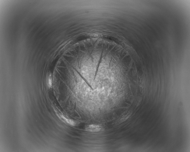 X0000080700095200612151326