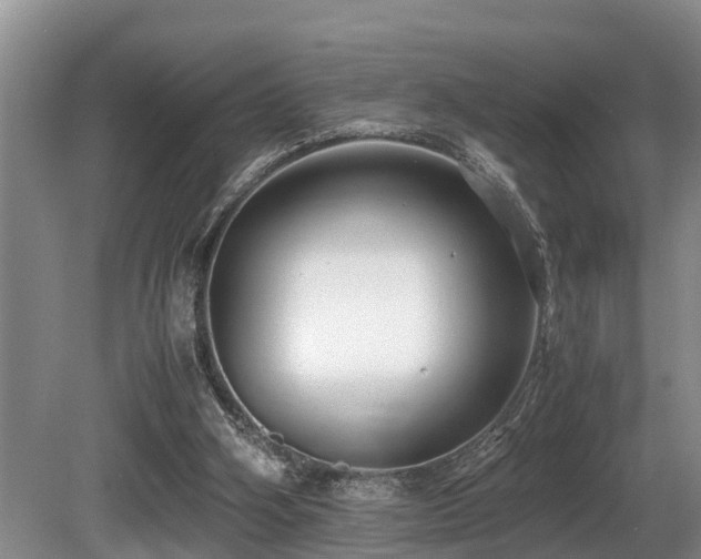 X0000080700106200612151325